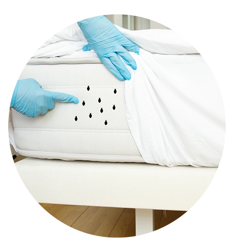 contrat-sanitation-haguenau-tjmn Contrat sanitation Haguenau - JTMN